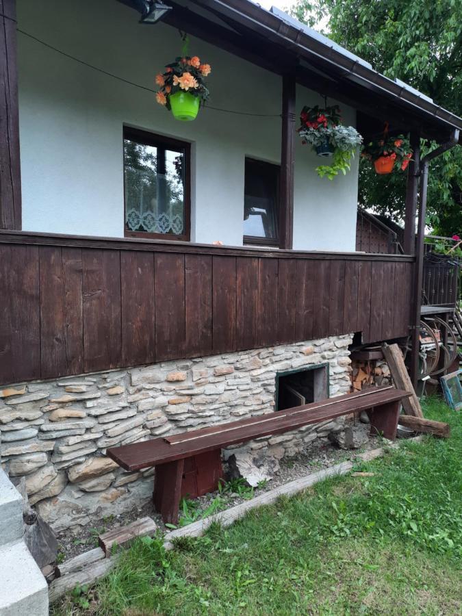 Casa Bunicilor Villa Ciprian Porumbescu Exteriör bild