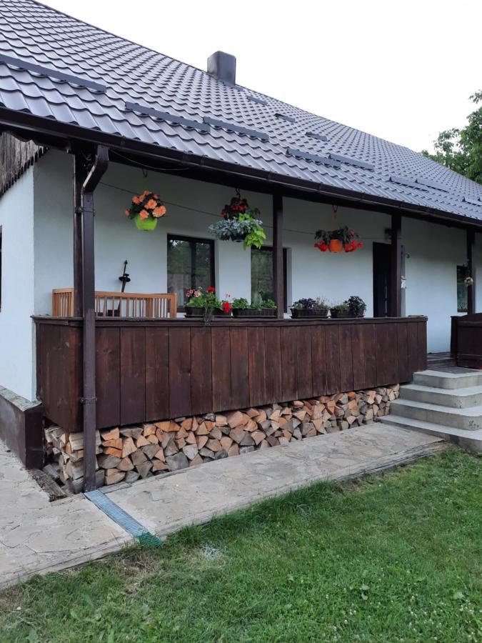 Casa Bunicilor Villa Ciprian Porumbescu Exteriör bild