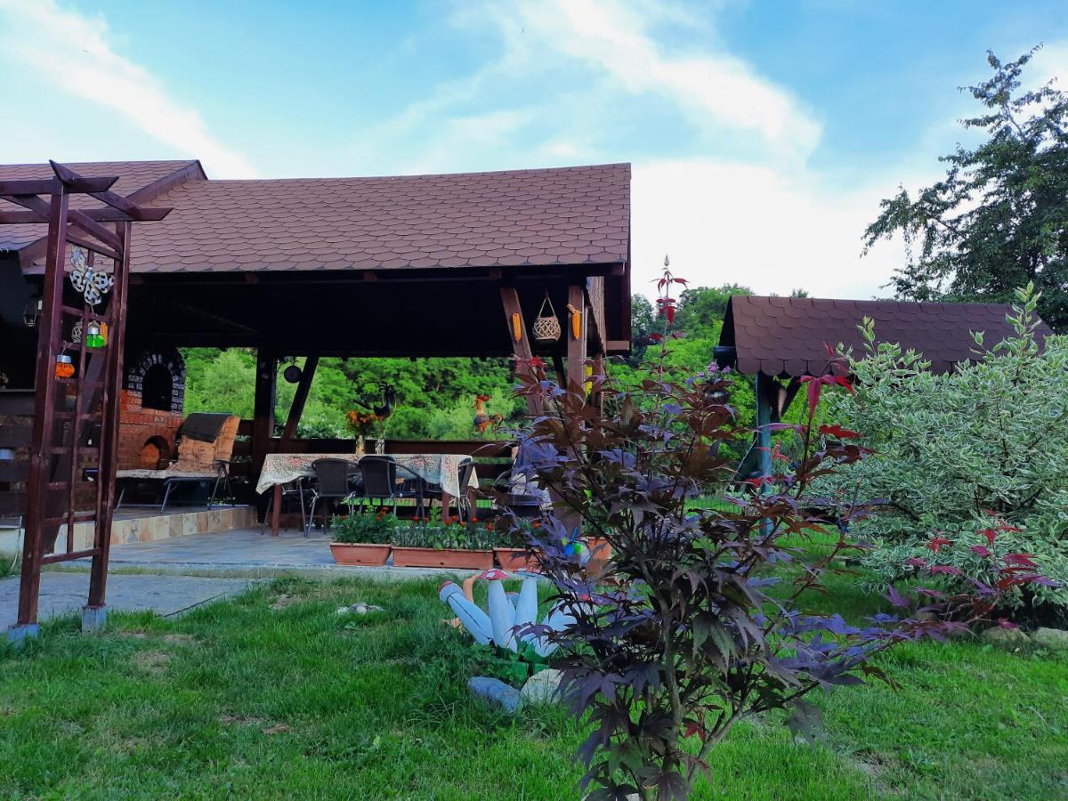 Casa Bunicilor Villa Ciprian Porumbescu Exteriör bild