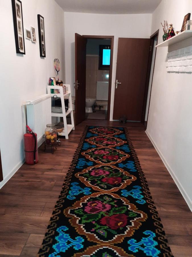 Casa Bunicilor Villa Ciprian Porumbescu Exteriör bild