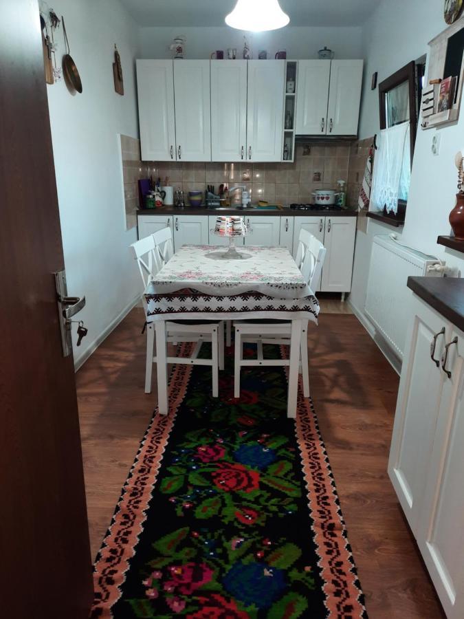 Casa Bunicilor Villa Ciprian Porumbescu Exteriör bild
