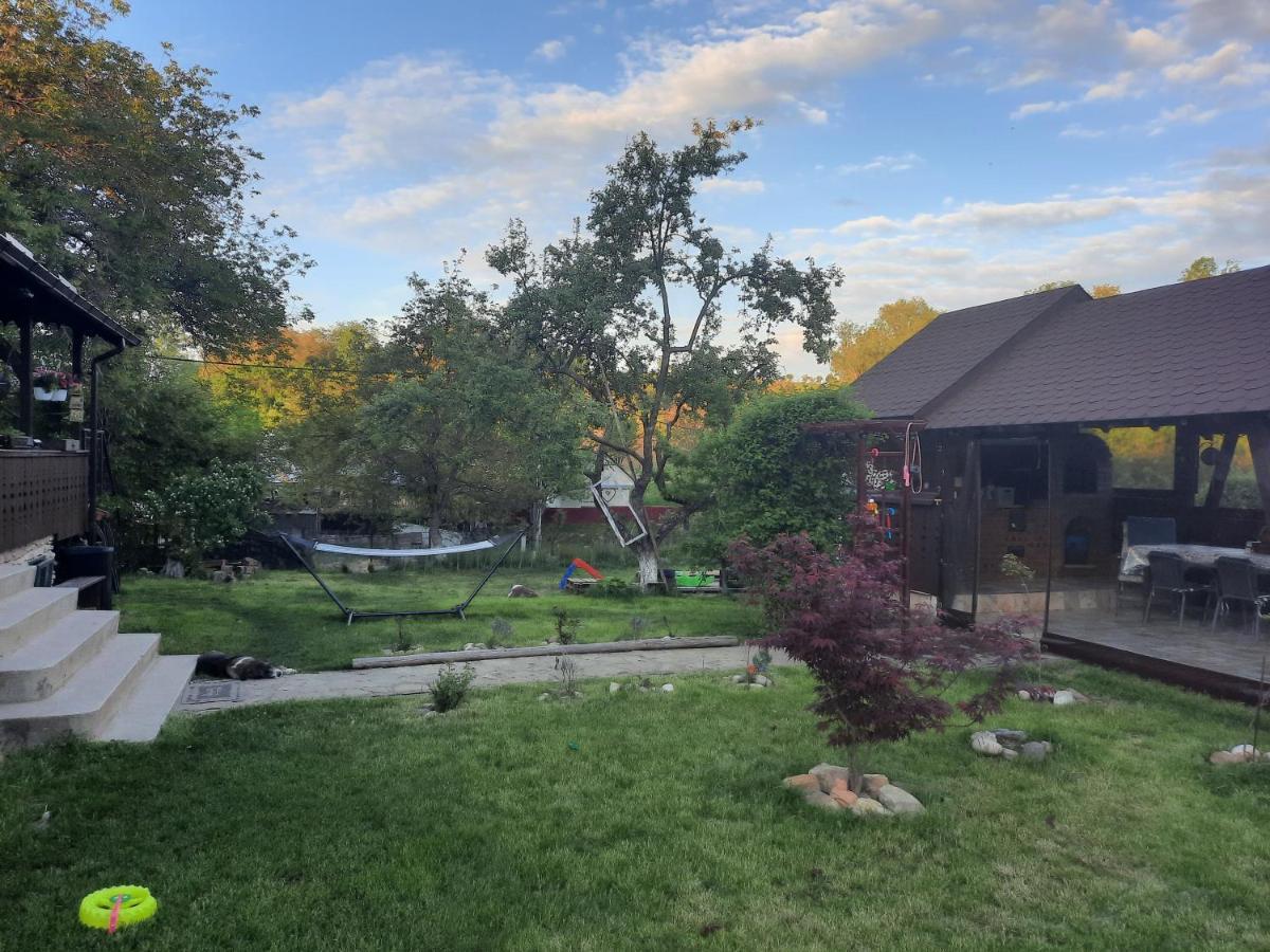 Casa Bunicilor Villa Ciprian Porumbescu Exteriör bild