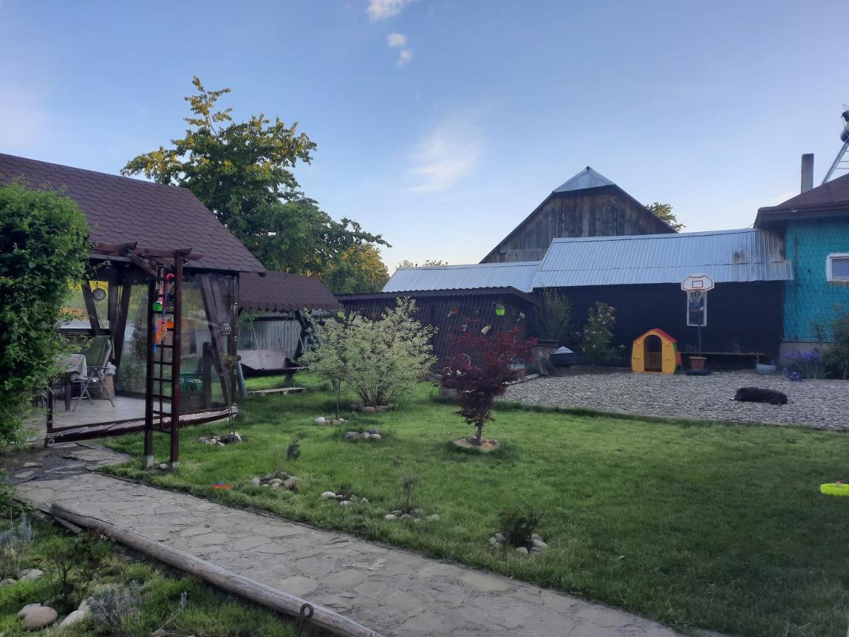 Casa Bunicilor Villa Ciprian Porumbescu Exteriör bild