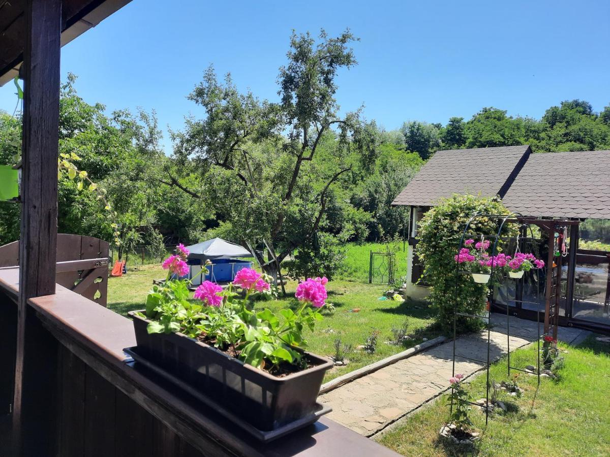 Casa Bunicilor Villa Ciprian Porumbescu Exteriör bild