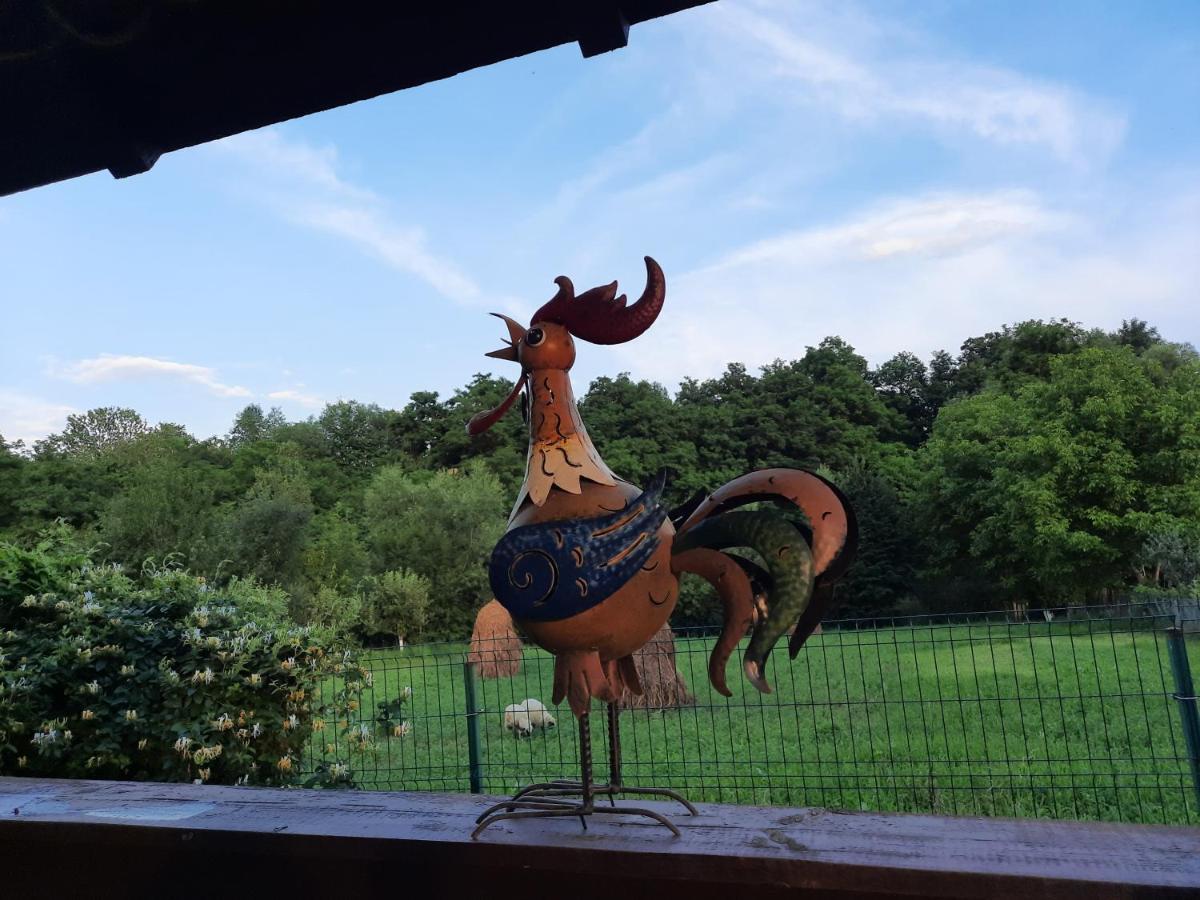 Casa Bunicilor Villa Ciprian Porumbescu Exteriör bild