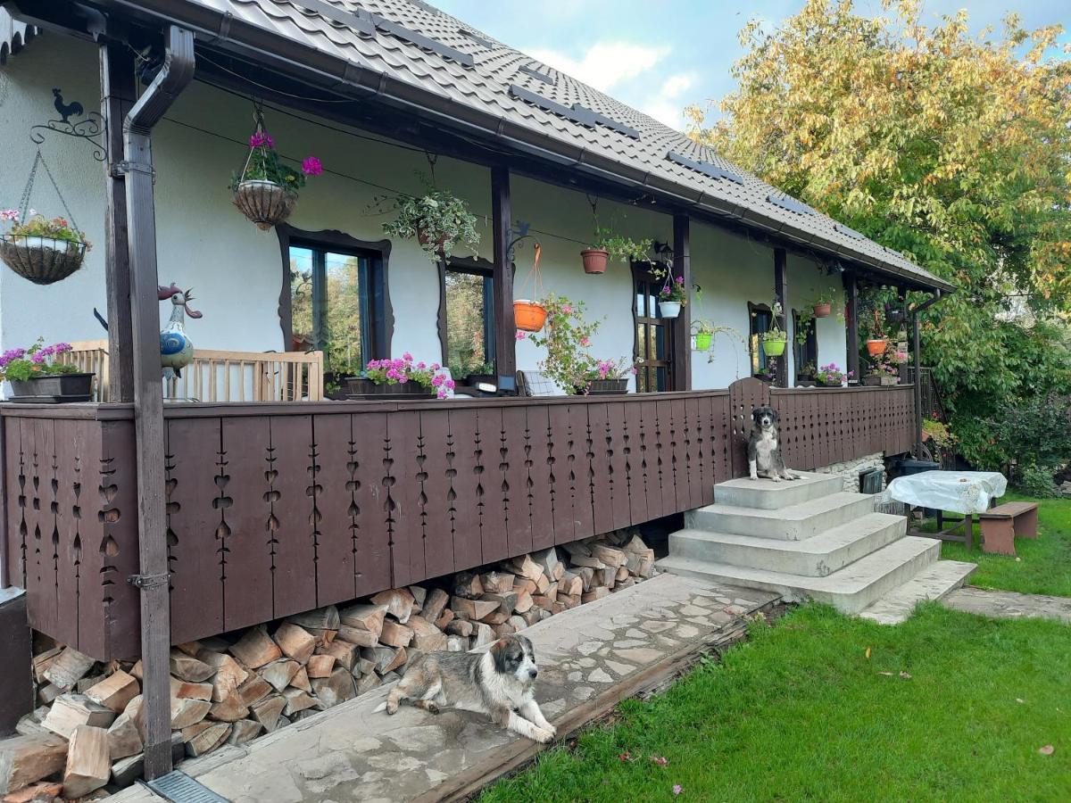 Casa Bunicilor Villa Ciprian Porumbescu Exteriör bild