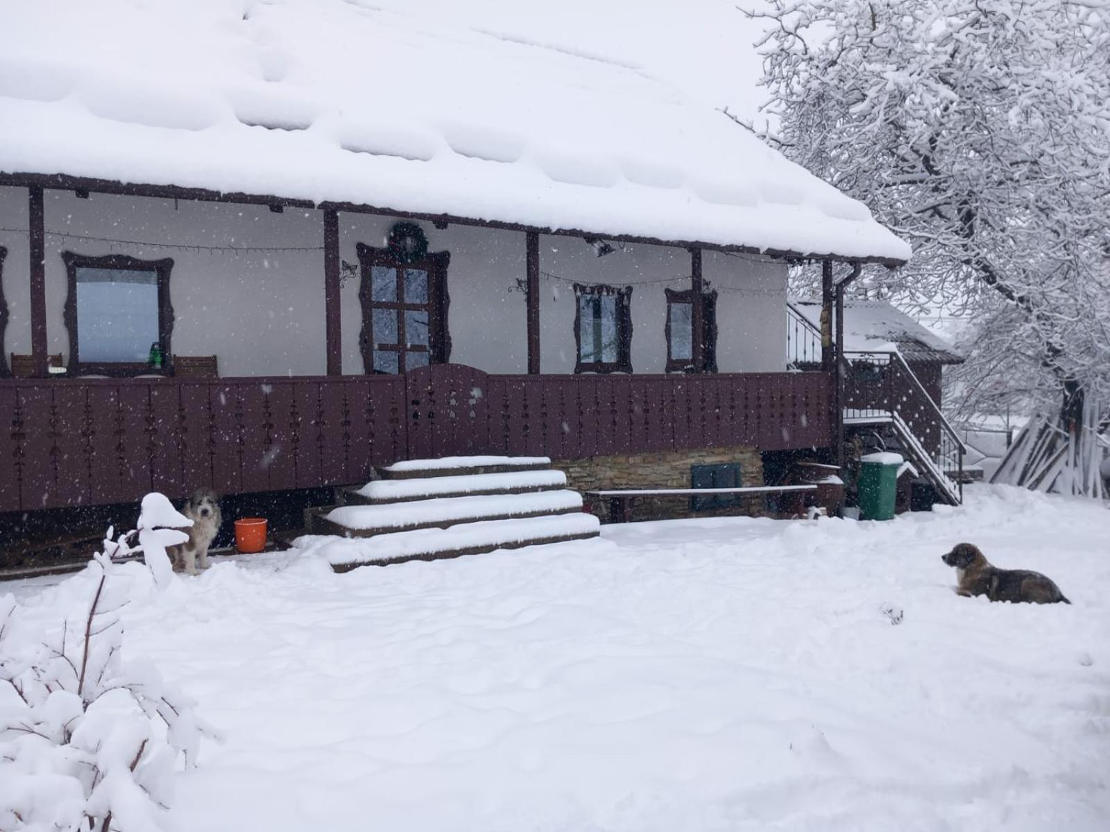 Casa Bunicilor Villa Ciprian Porumbescu Exteriör bild