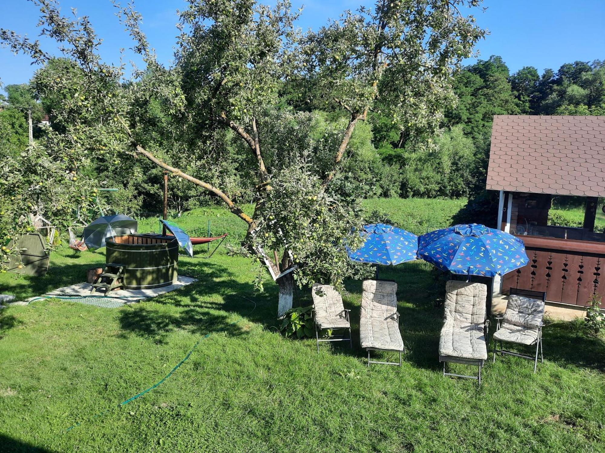 Casa Bunicilor Villa Ciprian Porumbescu Exteriör bild